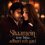 Dar e Nijat-Shaamein Tere Bina (Soundtrack)